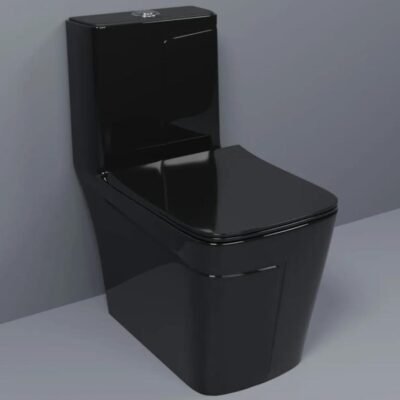 European toilet
