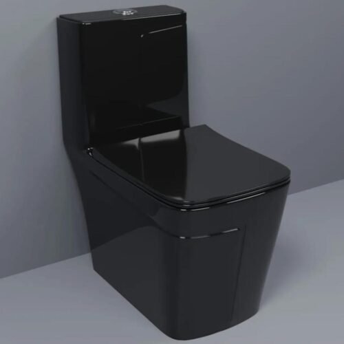 European toilet